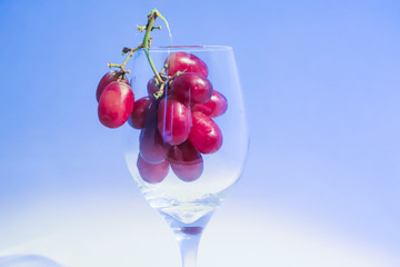 Red Grapes in a Wine Glass