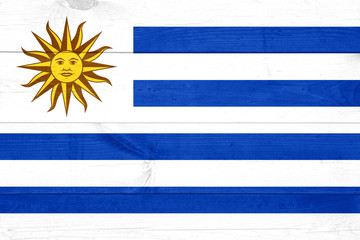 Flag of Uruguay painted on grungy wood plank background