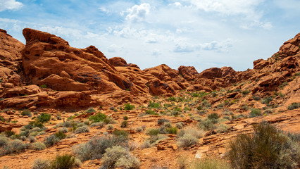 brauner Sandstein mit Büschen und Sträuchern