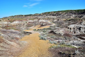 Dinosaurs Trail , Drumheller  Canyon , Canada 