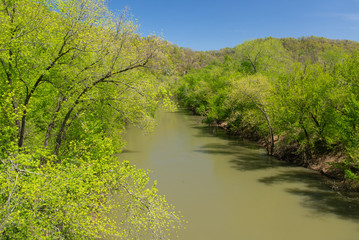 Spring along the Levisa Fork