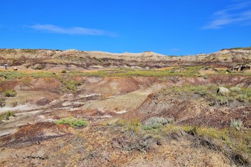 Dinosaurs Trail , Drumheller  Canyon , Canada 