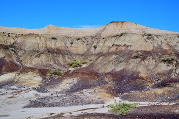 Dinosaurs Trail , Drumheller  Canyon , Canada 