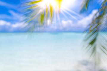 Fototapeta na wymiar Blur palm leaf on tropical bokeh wave beach abstract background. Travel vacation concept. Dream beach landscape 