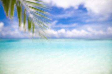 Obraz na płótnie Canvas Blur palm leaf on tropical bokeh wave beach abstract background. Travel vacation concept. Dream beach landscape 