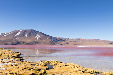 Laguna Colorada view, Bolivia
