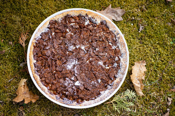 Delicious apple tart on the grass with leaves and twigs next to it. You can feel the autumn.