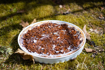 Delicious apple tart on the grass with leaves and twigs next to it. You can feel the autumn.