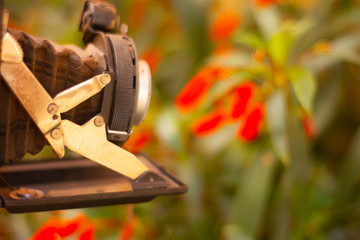 Fotogrando com saudoso e bom equipamento antigo