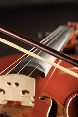 violin on black background