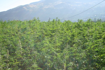 campos y montañas de Marruecos