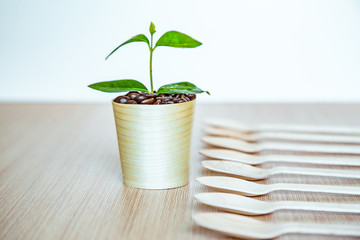 no plastic, clean, disposable food appliances, light wood spoons, with space for text and space for copying