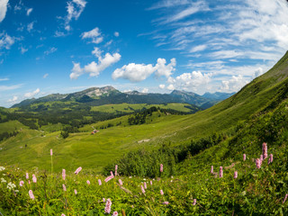 Fototapeta na wymiar Summer time mountain panoramic landscape near Rochers-de-naye