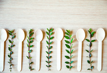 no plastic, clean, disposable food appliances, light wood spoons, with space for text and space for copying