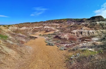 Dinosaurs Trail , Drumheller  Canyon , Canada 