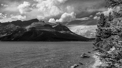 nature sceneries from the Athabaska riverbanks, Jasper, Alberta, Canada