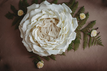 setup ready for newborn photo shoot, newborn photography