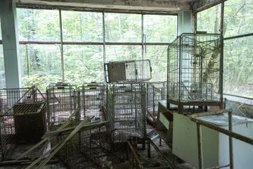 Inside abandoned shop in Pripyat