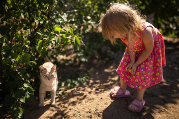 little girl are playing  with a cat under the fence,  are expecting a miracle