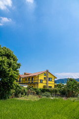 Single Yellow  House villa