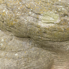 Stone decoration and wall cladding