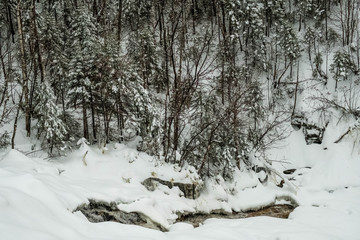 River runs through a snowy forest