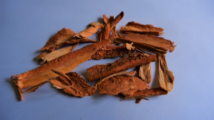 cinnamon sticks on a white background