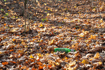 Glass bottle thrown out in the autumn leaves