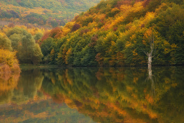 Fototapeta premium Autumn lake