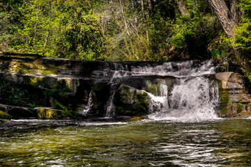 Fototapeta premium small waterfall in the forest