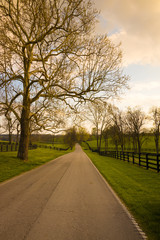 Country road along the horse farms at sunset.