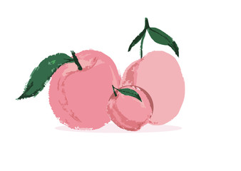 Set of vintage, ripe peaches with leaves, isolated on white background, vector.