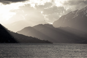 Black and white image of a bird and sunrays in lake Luzern, Switzerland.