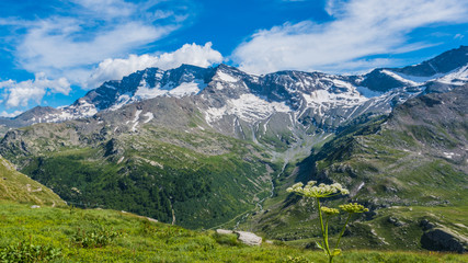 Fototapeta na wymiar Col del Nivolet - Piemonte - Italy