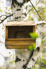 bird house on the tree in the forest
