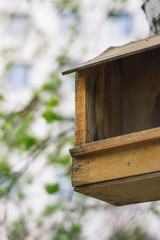 bird house in the forest