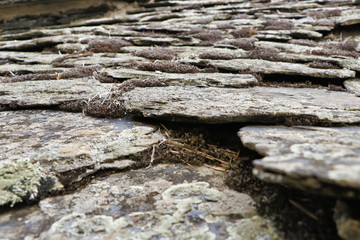 Slate roof with moss