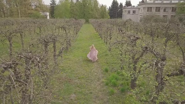 Girl, blonde in a pink dress runs through the spring garden. Green grass. In the background a castle. Day. Cloudy View from above. Slow motion. 96 frames. D-log.