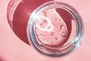 flower, lilac, purple, isolated, blossom, spring, floral, pink, nature, plant, flowers, violet, leaf, bloom, green, beauty, decoration, petal, bud, bouquet, blooming, beautiful, flora, marriage, 8 mar