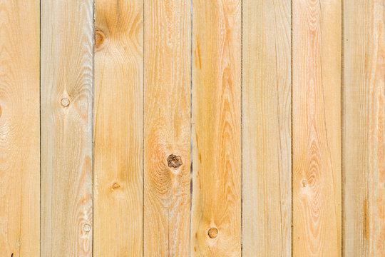 fresh a fence made of pine boards, texture boards.