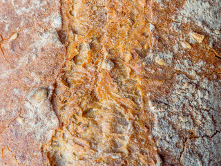 Macro of bread