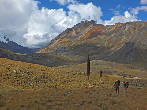 Pampa in Andes, near Catac, national park Huascaran, Peru