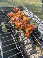 meat on the grill