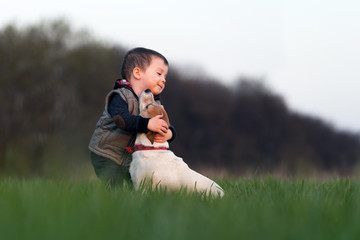 Small kid in yellow jacket with jack russel terrier puppy embrace one another on spring field on...