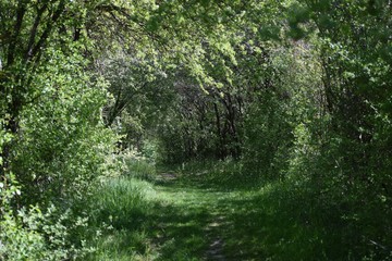 Entrance to Paradise