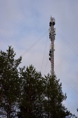 5G, nadajniki GSM w lesie