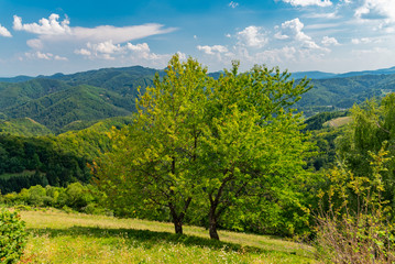 Slovenia: Jamnik, a fairytale church