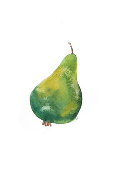 Hand drawn watercolor painting on white background. illustration of fruit green pear