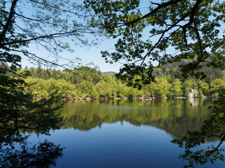 Fototapeta na wymiar Naturpark Südschwarzwald. Bad Säckinger Bergsee ist ein beliebtes Ausflugsziel in Baden-Wüttemberg