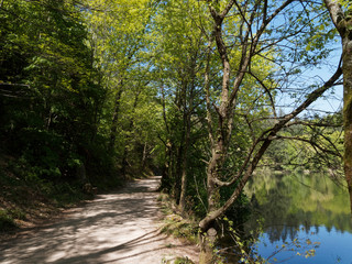 Naturpark Südschwarzwald. Bergsee oberhalb Bad Säckingen. Idyllisch gelegene. Herrliche schattige Ufer und rundweg des kleinen Bergsees